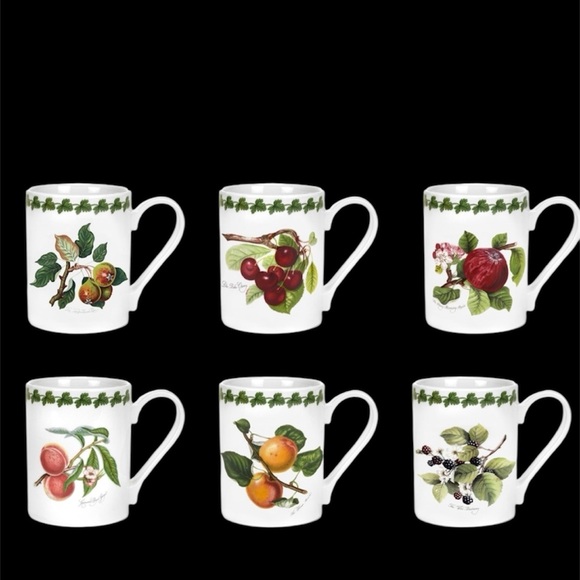 Portmeirion Botanical Fruit Mug Collection -BNIB set of 6